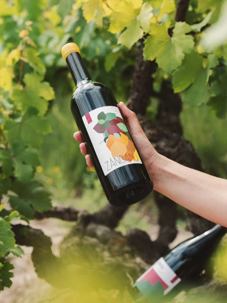 Branding y packaging diseñado por Morrisen Studio para Clandelvino, bodega de vinos naturales en Segovia.