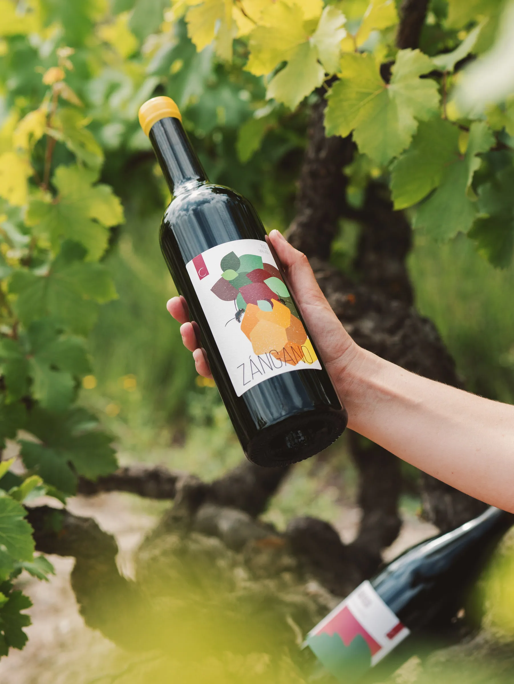 Branding y packaging diseñado por Morrisen Studio para Clandelvino, bodega de vinos naturales en Segovia.